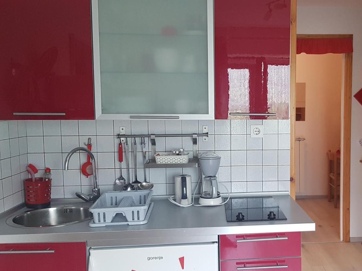 Apartments Tatjana Bovec Habitación foto